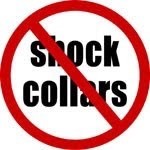 NO SHOCK COLLARS 